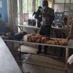 278843087 4966471100132337 4668273744147016337 n