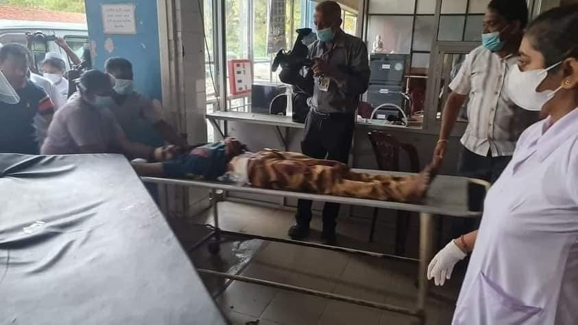 278843087 4966471100132337 4668273744147016337 n