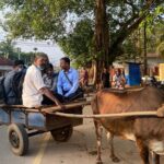 278917989 2254090584755172 6880342318010246701 n