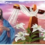 இன்று உயிர்த்த ஞாயிறு தினம்