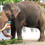 21399583730 472b5a0225 b