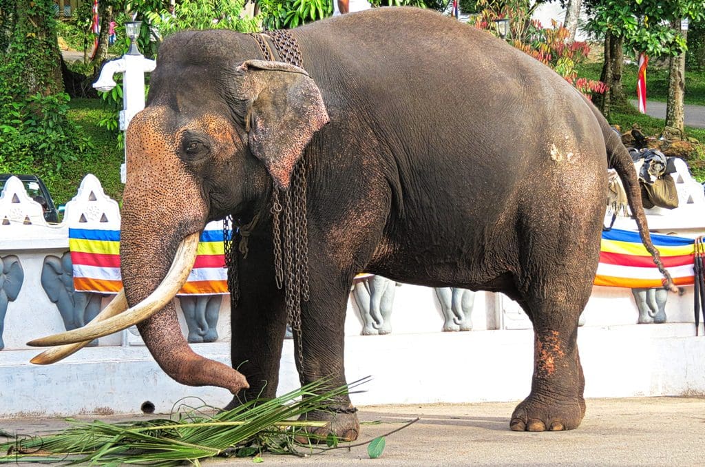 21399583730 472b5a0225 b