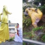 279908368 373178858165187 6087239735169596501 n