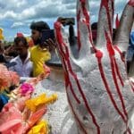 280484268 3283680008582293 2509442052560157866 n 1000x600 1