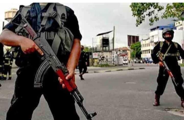 280606951 667906654534279 1443922106695166925 n