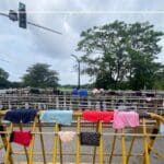 News 2 e1651819834378 1000x600 1