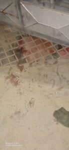 WhatsApp Image 2022 05 03 at 9.36.23 AM 1