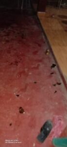 WhatsApp Image 2022 05 03 at 9.36.23 AM 2