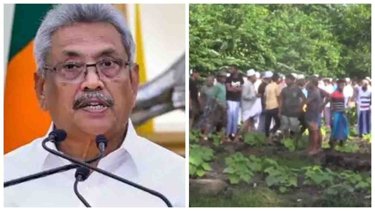 ஆய்ஷா கோட்டாபய