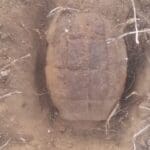 கைக்குண்டு