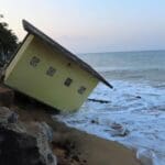 0779008012 F S22 1000x600 1