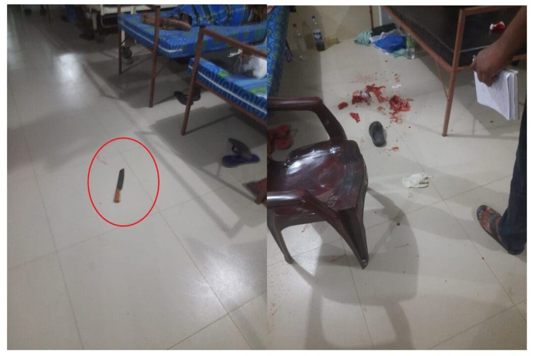 137f13d7 86cc 41af aff1 cb7da7e8f2e0