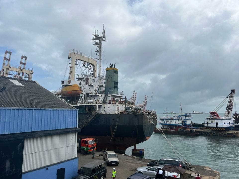 289115477 704310547733476 1999964942463975729 n