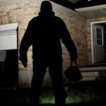 B shadow fig in front of house 1