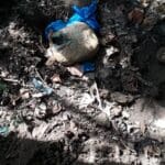 IMG 20220604 WA0008 1