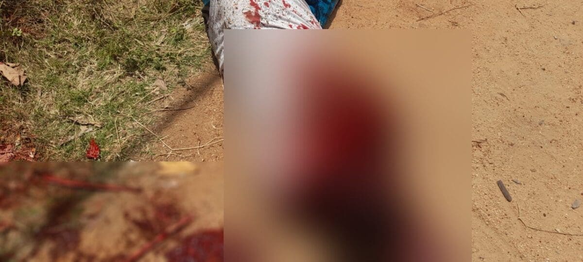 IMG 20220610 WA0027 1