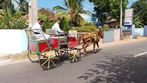 VideoCapture 20220624 095933