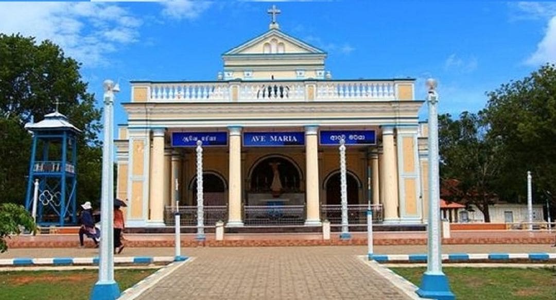 madu 850 850x460 acf cropped 1