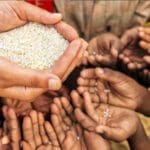 உணவுப் பஞ்சத்தை