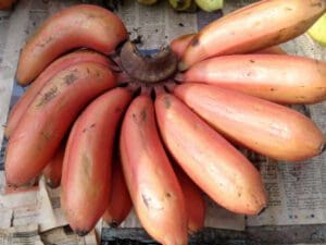 04 1428133243 red banana