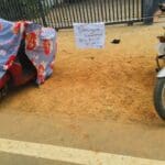 292025563 3148539662074283 1282812612888376750 n