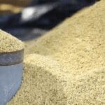 500x300 1724467 paddydd 1