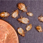 5babbab0de9f3007fe16b7a4