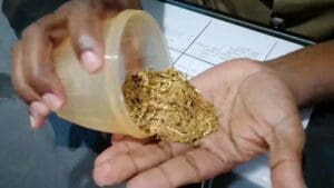 WhatsApp Image 2022 07 01 at 9.19.44 AM 2