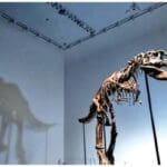 WhatsApp Image 2022 07 08 at 8.40.12 AM