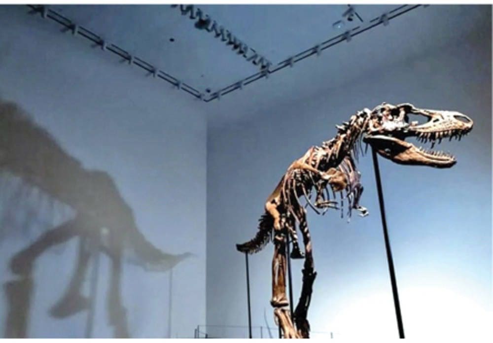 WhatsApp Image 2022 07 08 at 8.40.12 AM