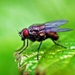 bl 30043 09062019200853