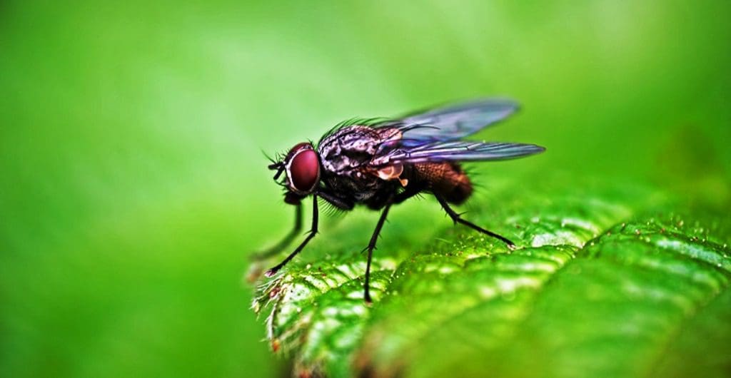 bl 30043 09062019200853