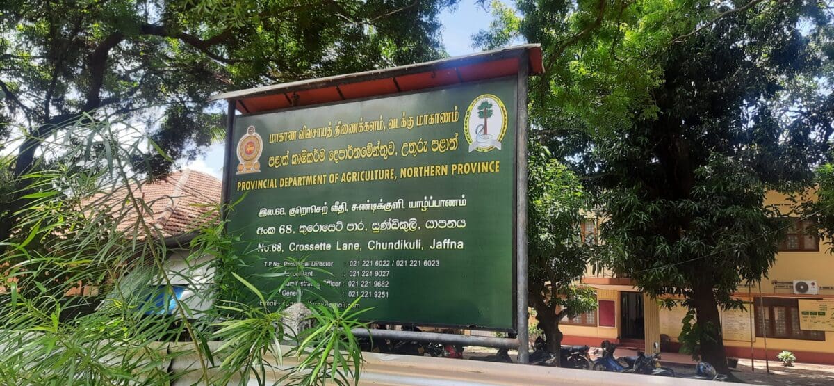 20220810 124735 scaled