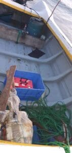 299744369 377882844508378 1458426986555309898 n