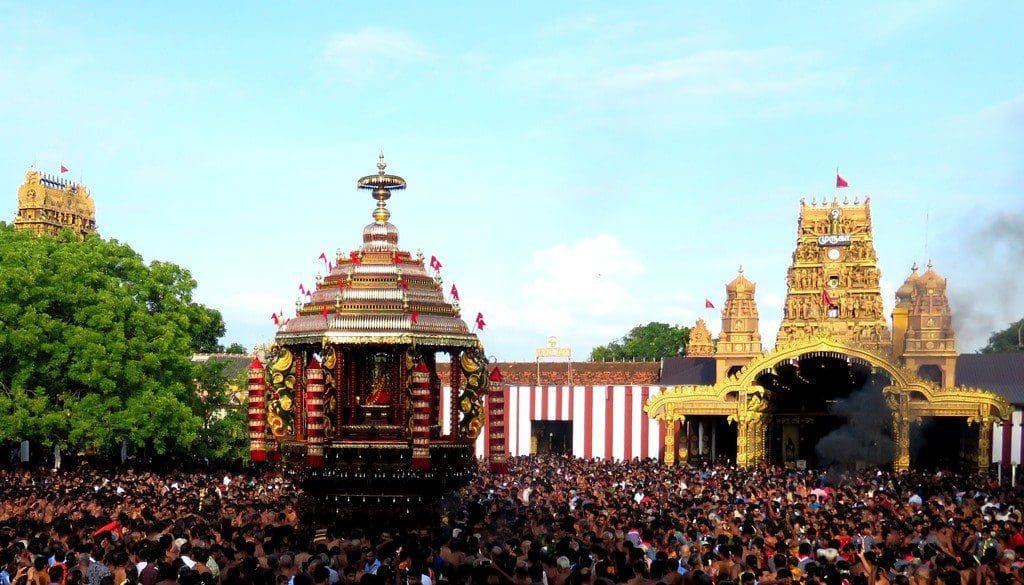 301246224 458317822976533 5269366820254091835 n