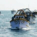 500x300 1750181 boat