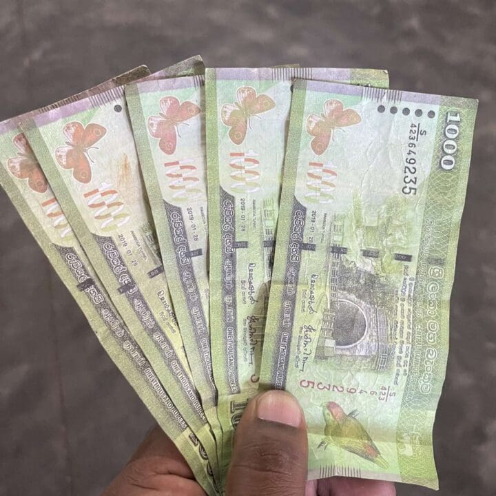 IMG 443a920844d416800243ca381e7d2a53 V