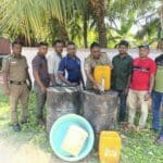 IMG 862805616f8270034b1e407e6e9f9576 V