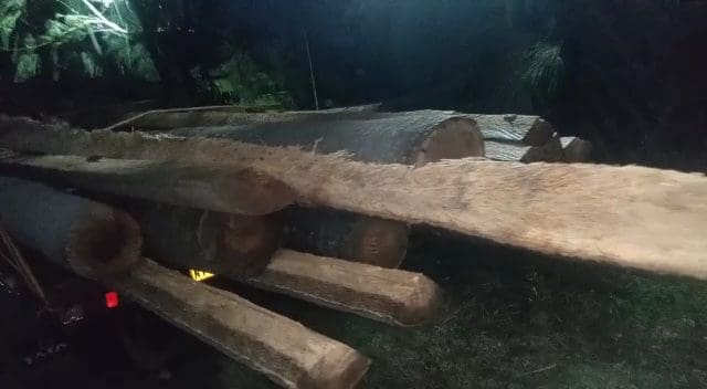 VideoCapture 20220813 101113