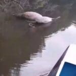 WhatsApp Image 2022 08 20 at 1.12.28 PM