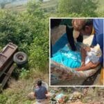 WhatsApp Image 2022 08 20 at 2.43.39 PM