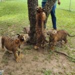 302250282 6391639234196952 8442531931639933221 n e1662614582292