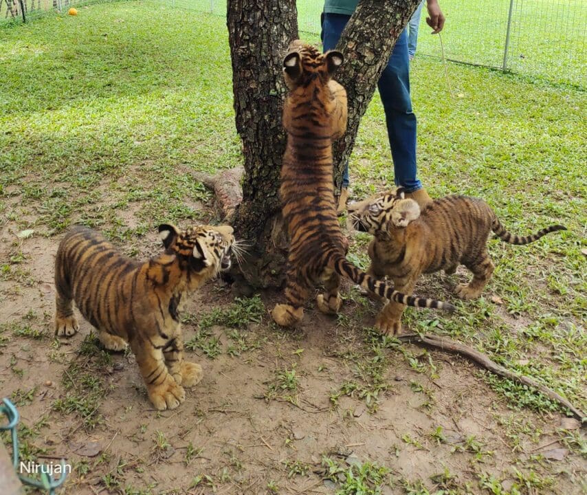 302250282 6391639234196952 8442531931639933221 n e1662614582292