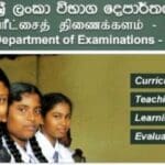 302702525 6397276273633248 4794094599960366985 n