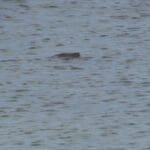 Sequence 01.01 17 54 14.Still008