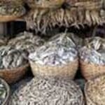 1665986494 1665973628 Dry Fish S 1