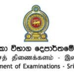 5d7709de 48449e00 department of examination 850x460 acf cropped