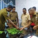 F.SIHAN MEDIA24 750x375 1