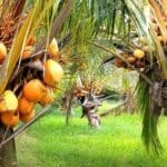 WhatsApp Image 2022 10 08 at 7.26.38 PM