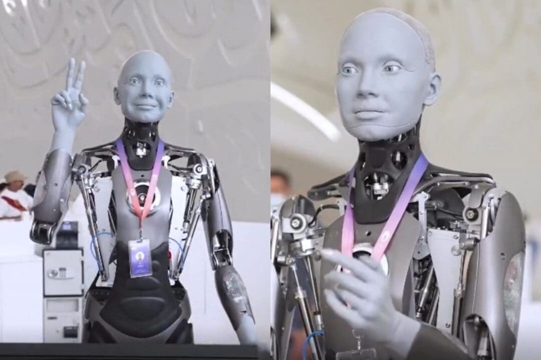 robo 16657555433x2 1